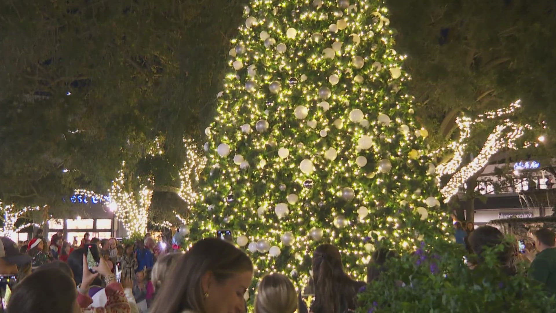 Winter Village at Curtis Hixon Park opens on Friday.