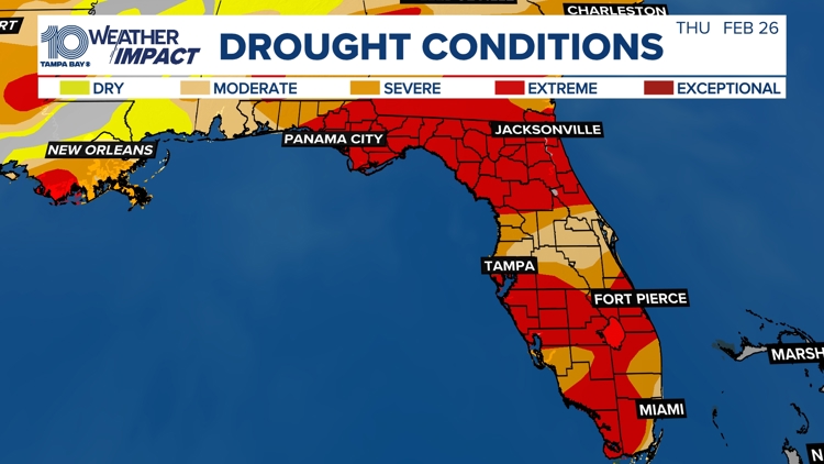 Florida hits 100% drought coverage for first time on record | wtsp.com