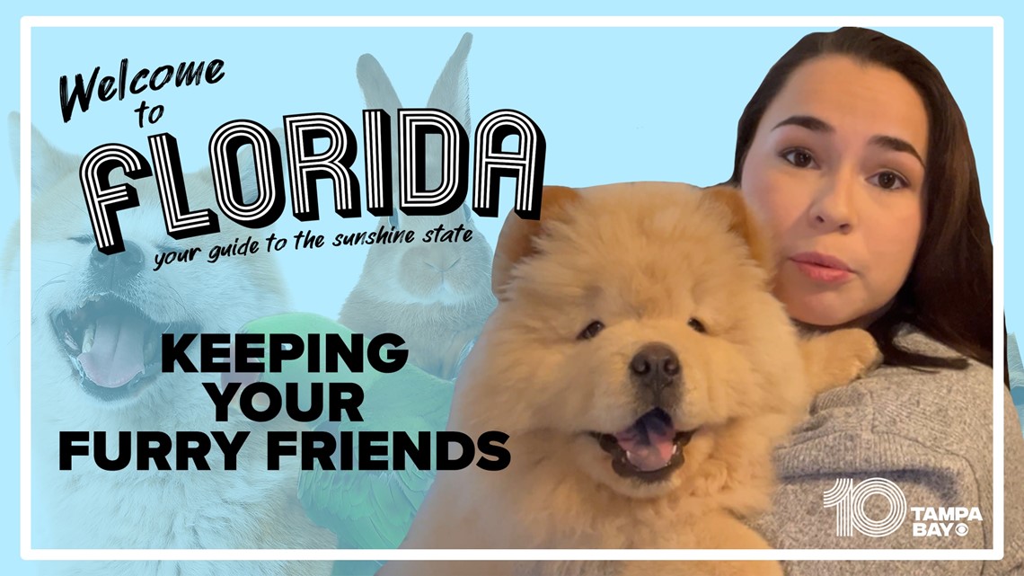 Here's what you need to know about owning a pet in Florida