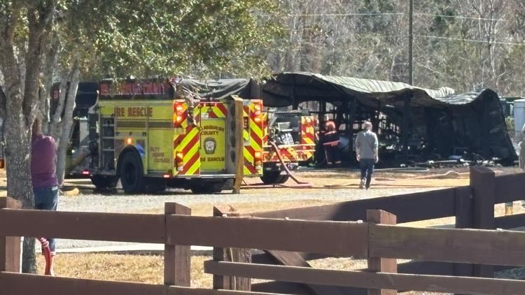 Plant City neighbor rescues ducks and chickens from barn fire | wtsp.com