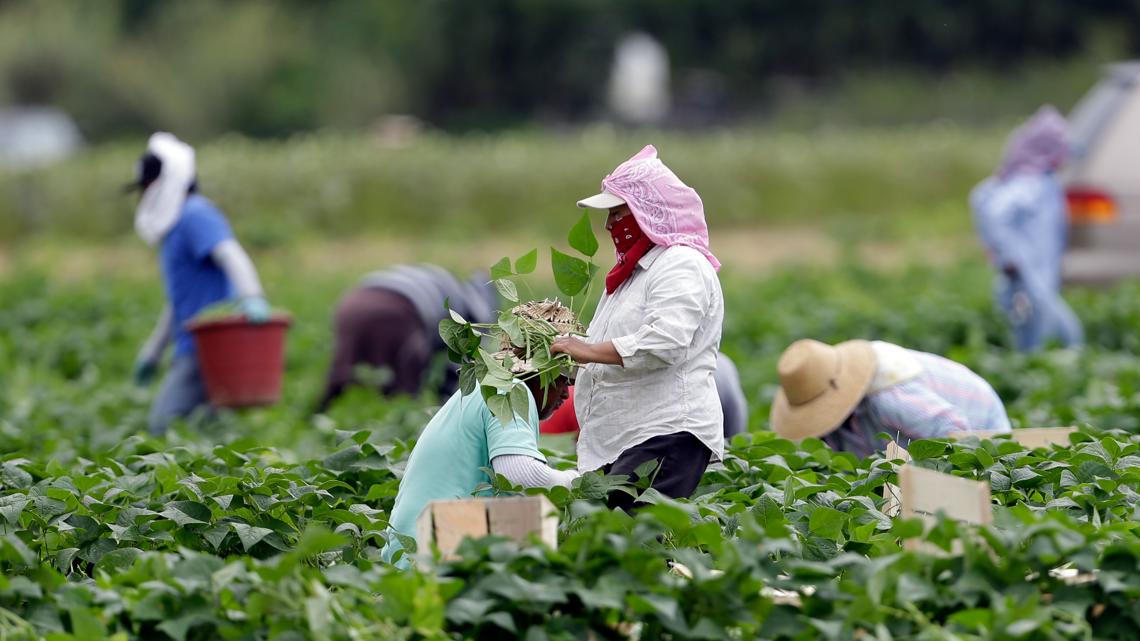 Man pleads guilty in Tampa federal court to racketeering conspiracy, exploiting migrant farmworkers