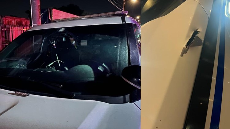 Tampa Police Involved In Deadly Shooting On N 40th Street Wtsp