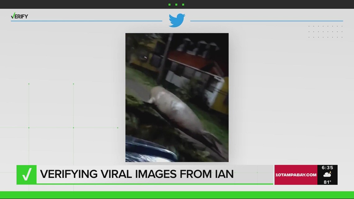 Verifying viral images from Ian