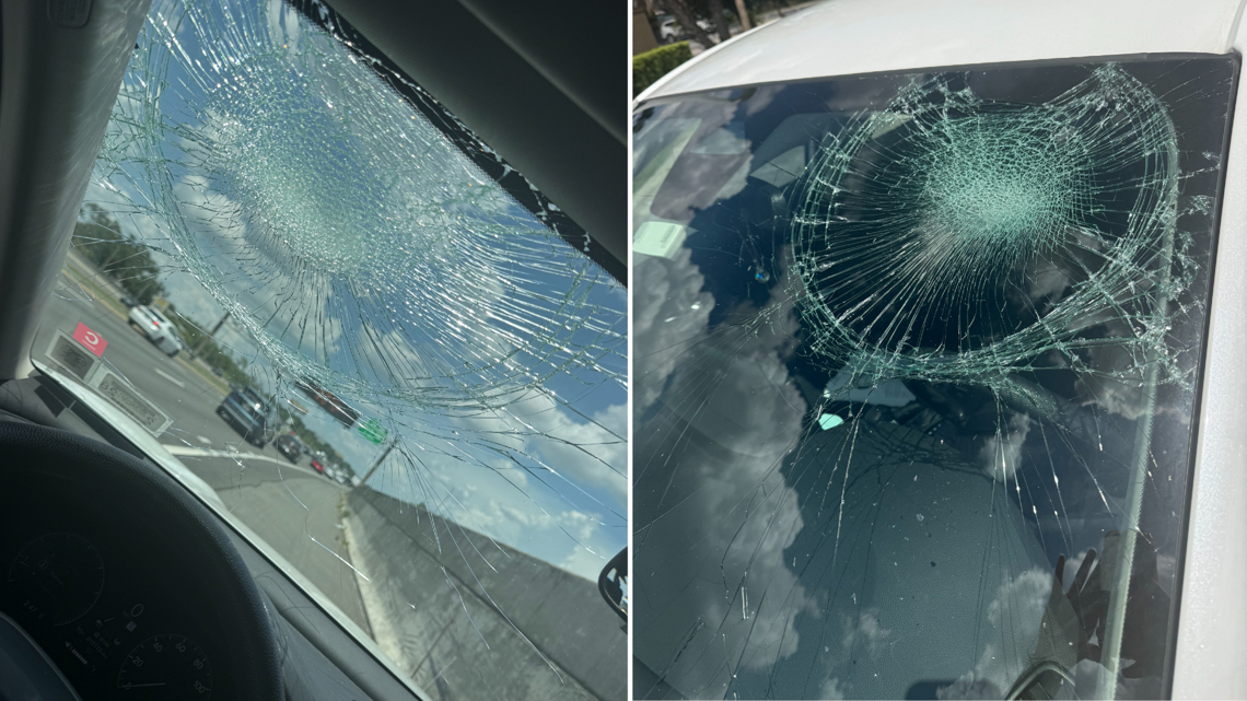 Florida sees sharp rise in deadly road rage incidents