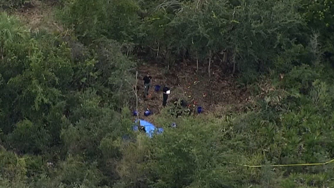 Skeleton remains in Hudson identified as man last seen in May - Vimarsana News