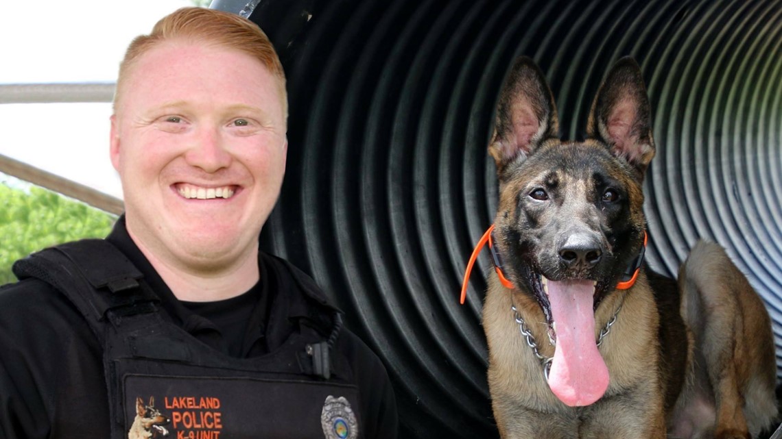 'We will miss ya buddy': Lakeland police memorialize K-9 Aztor - Vimarsana News
