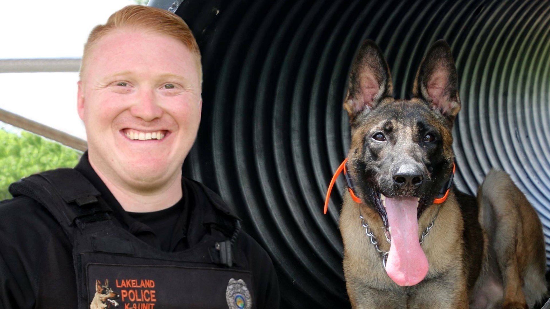 'We will miss ya buddy': Lakeland police memorialize K-9 Aztor | wtsp.com