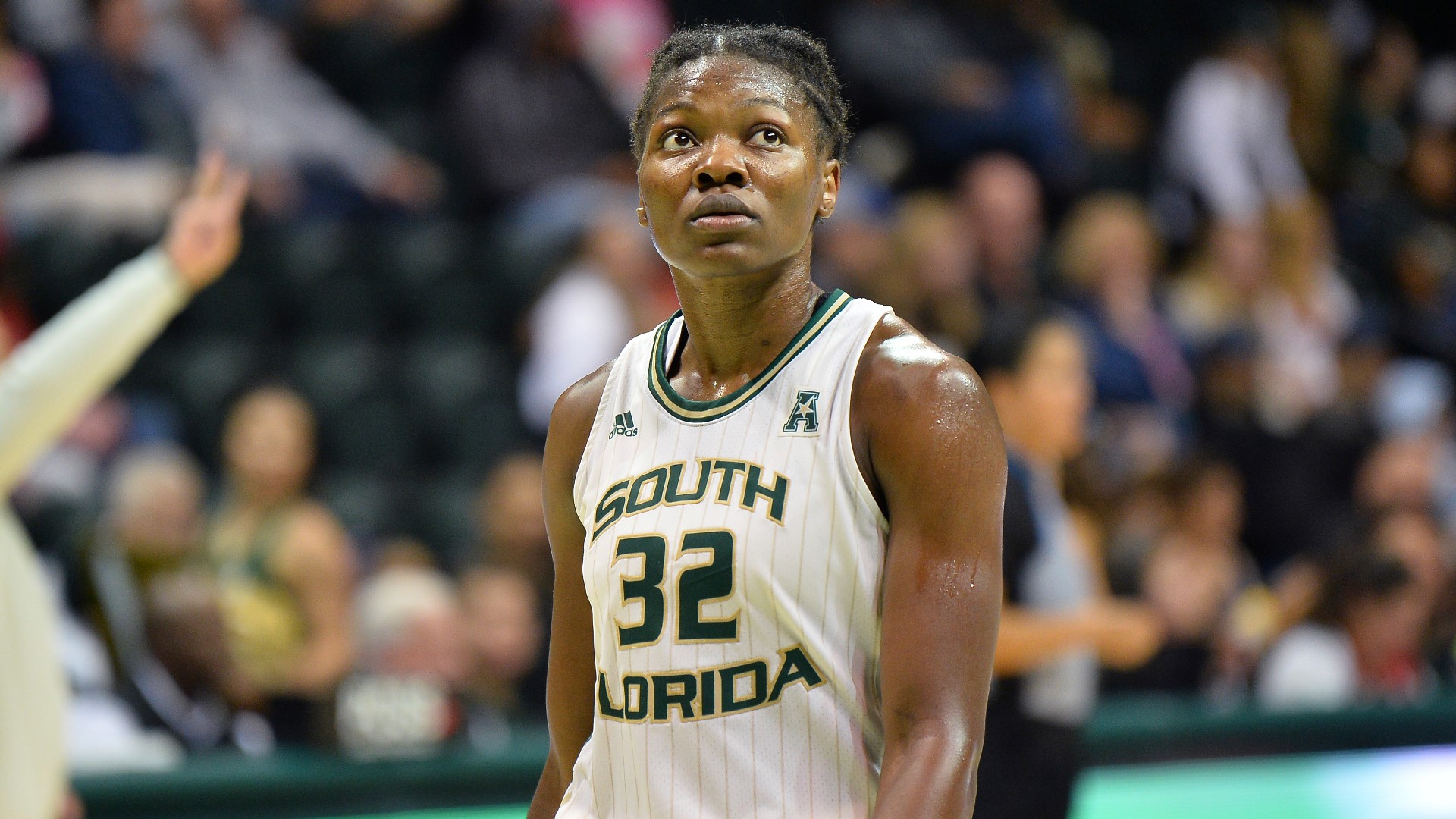 2 South Florida players selected in 2023 WNBA Draft | wtsp.com