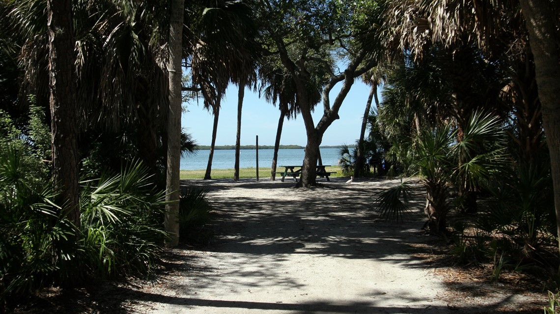 Tampa Bay beach one of most dog-friendly beaches in US | wtsp.com