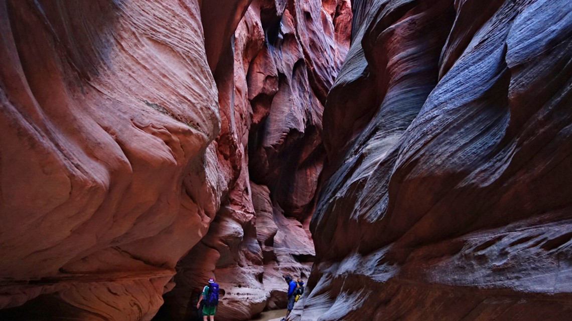 2 Tampa hikers found dead near Utah-Arizona line after flooding - Vimarsana News