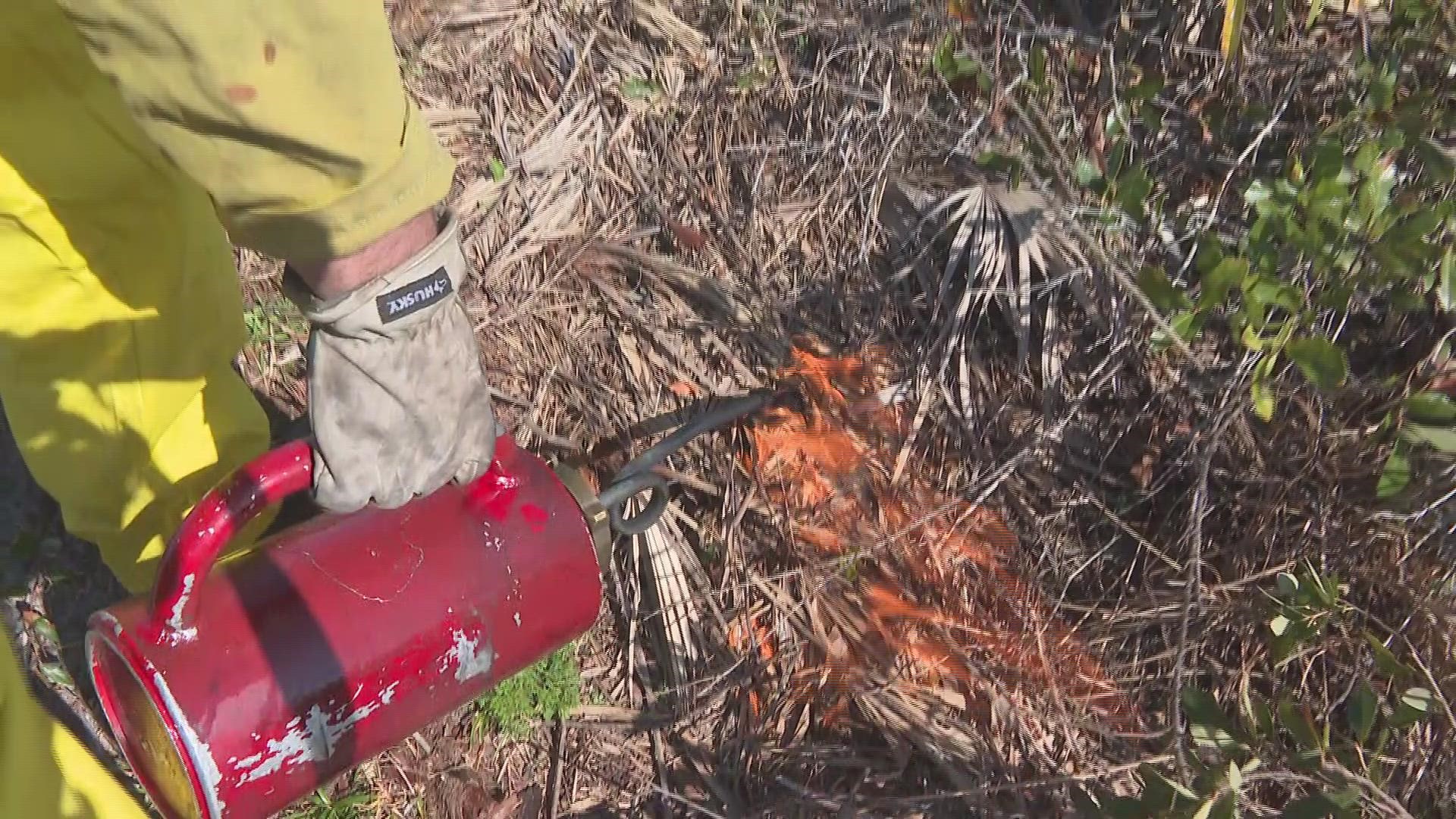County officials say the event aims to show the significance of prescribed fires to Florida’s ecosystem.