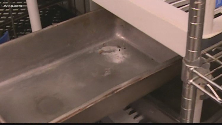 10News finds rodent droppings at Biff Burger