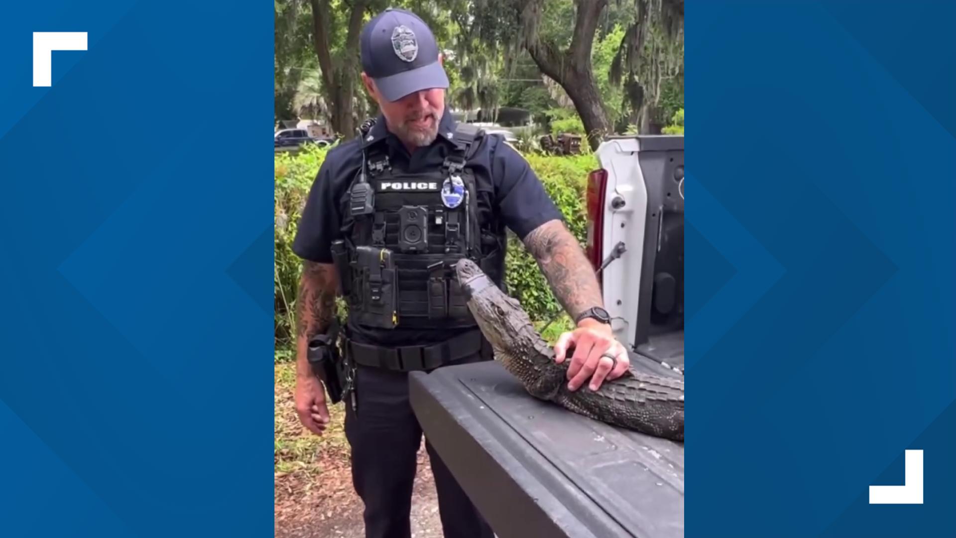 Florida law enforcement and a trapper removed the 5-foot gator from the Jacksonville home on Monday.