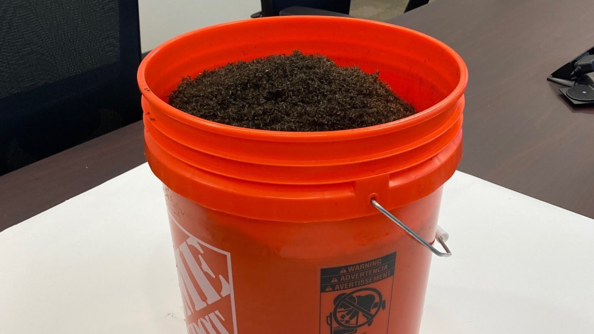 Photos 1 million mosquitoes trapped on Sanibel Island