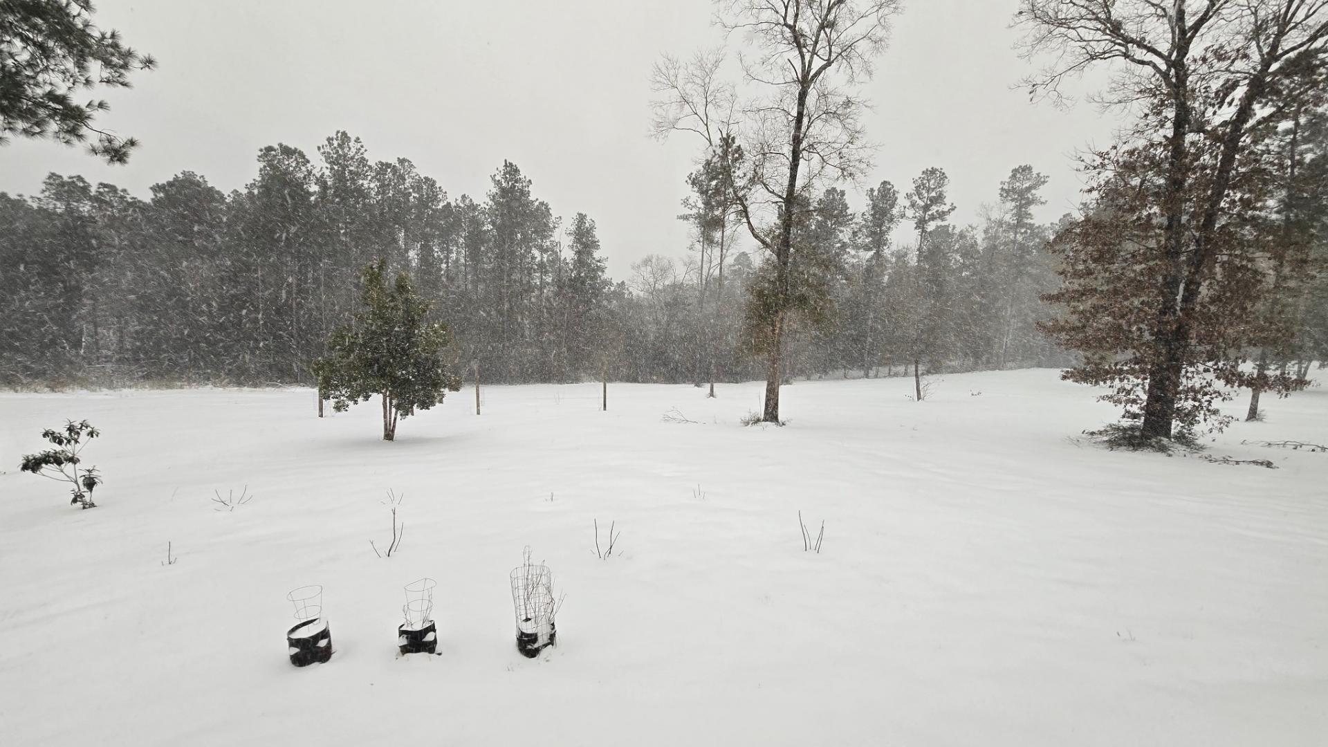 Here 39 s how much snow Florida received - D45c9134 8b93 49ac Be22 77e3940075fe 1920x1080