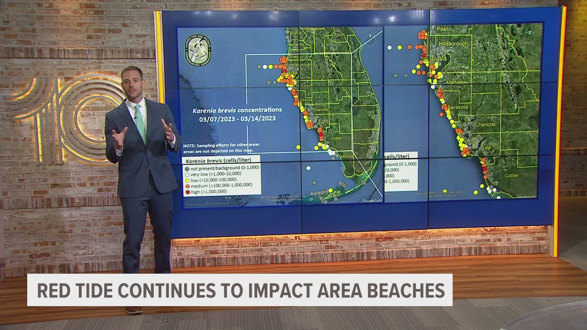 There are still medium to low concentrations of red tide at beaches across the Tampa Bay area.