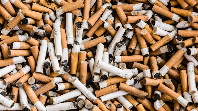 tobacco leaf manufacturers Main Tobacco Leaf Companies in Malawi