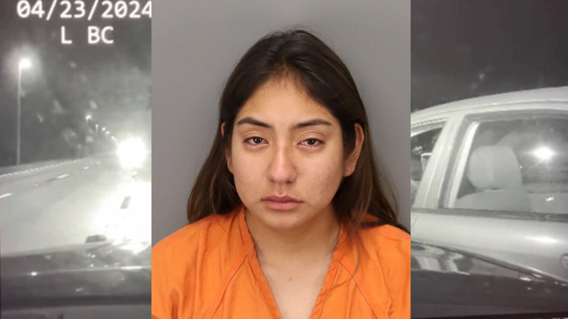 Driver arrested after driving the wrong way down I-275 | wtsp.com