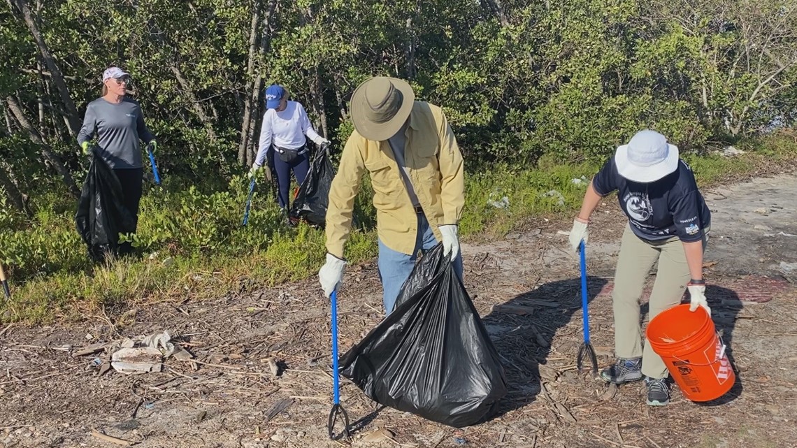 Volunteers remove tons of trash near Port Tampa Bay - Vimarsana News