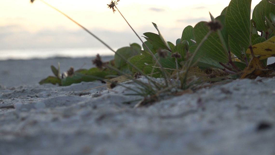 Report: Florida state parks need $760 million in repairs, upgrades and maintenance