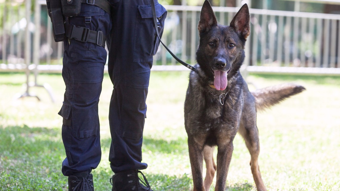 K-9s to be honored at 14th annual Memorial Service - Vimarsana News