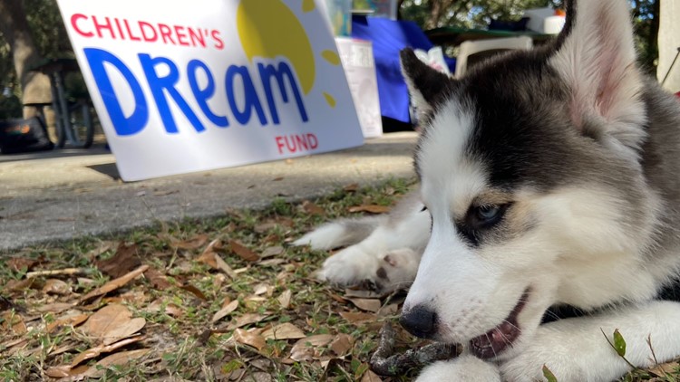 Children’s Dream Fund surprises 4-year-old with puppy