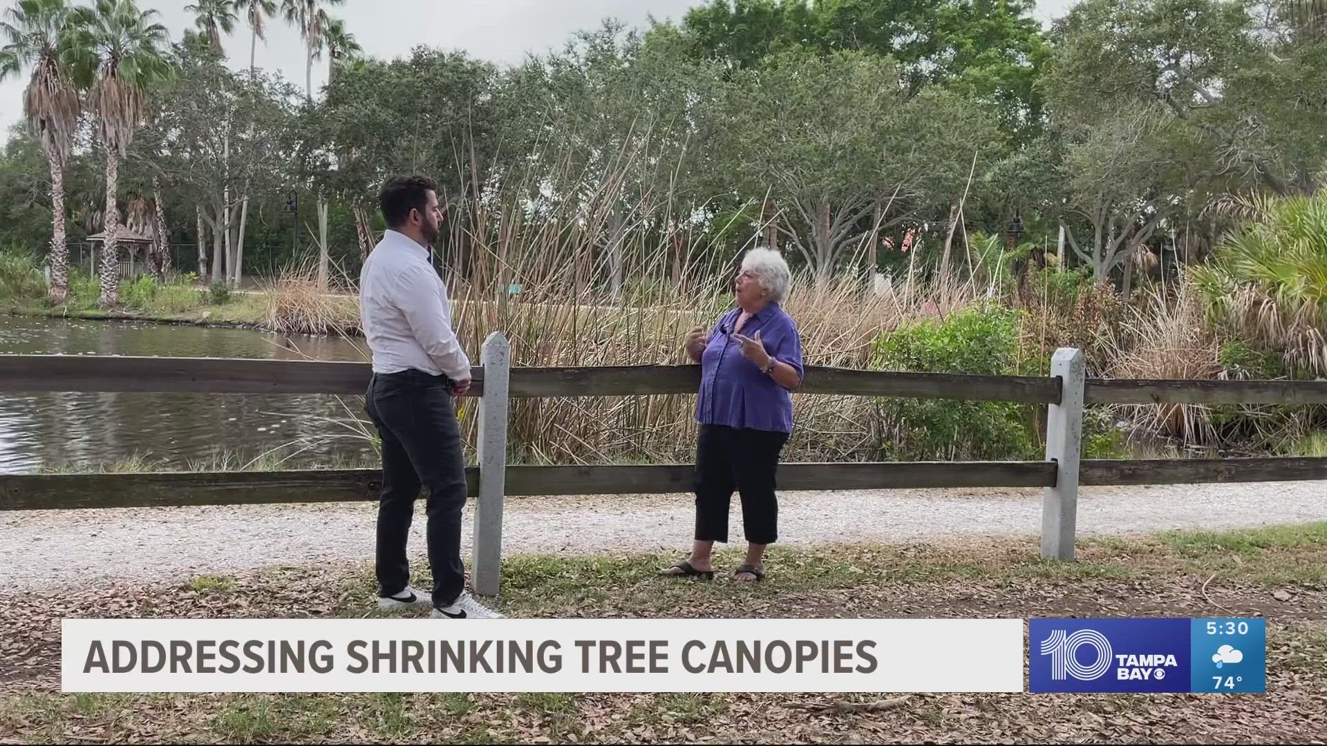 Many communities have incentives for residents who want to help plant trees on their property.