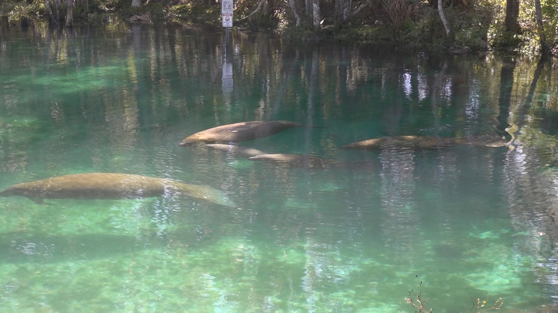 manatee-county-trash-pickup-schedule-switches-to-once-a-week-wtsp