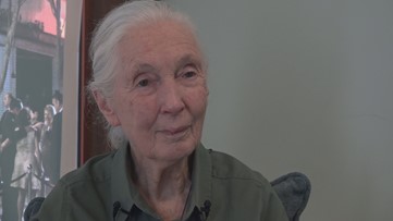 'I am very concerned': Jane Goodall visits Tampa with message of hope for environmental action
