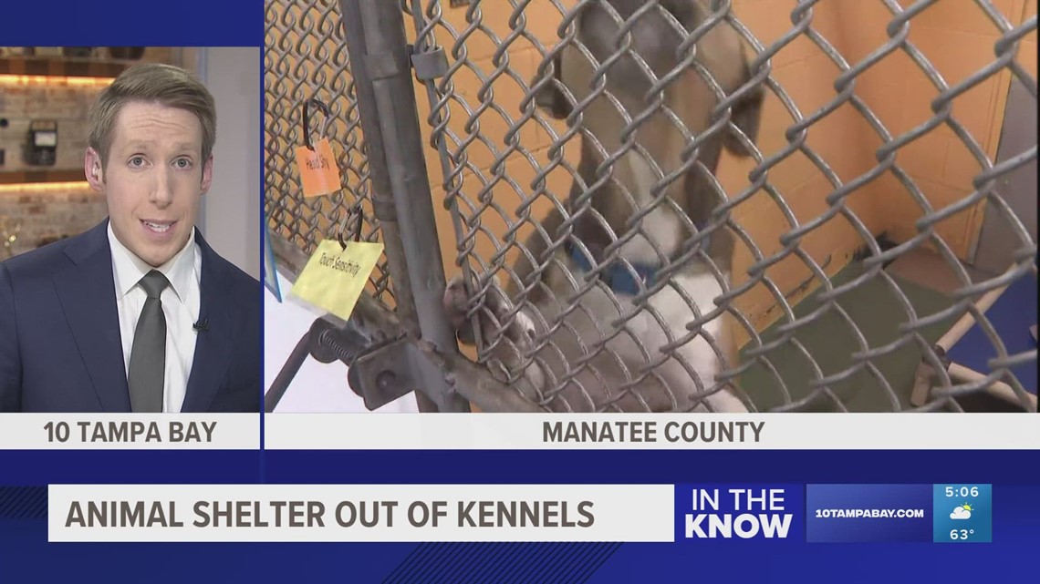 'Urgent call for help': Manatee County animal shelter says it's out of