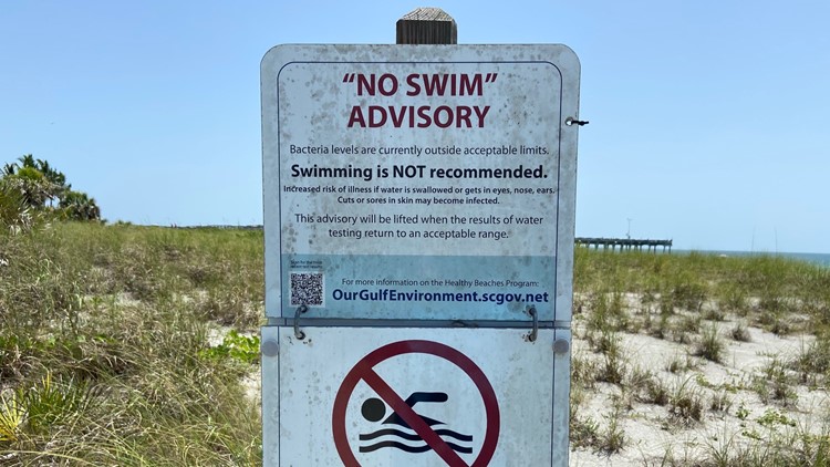 Swimming not recommended at 2 Hillsborough County beaches due to high  bacteria levels