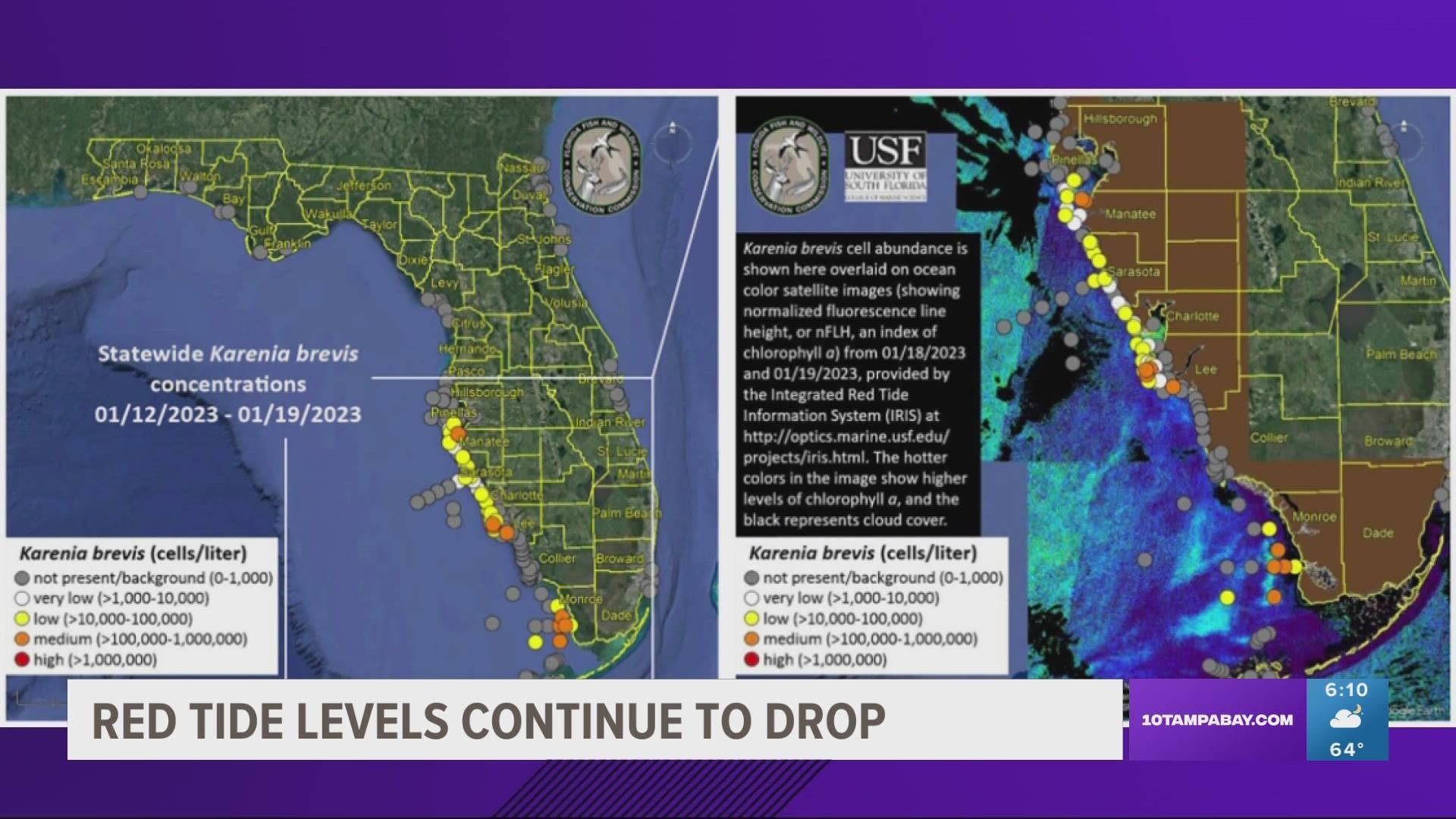 There were reports of fish kills related to red tide in Manatee and Sarasota counties over the past week.