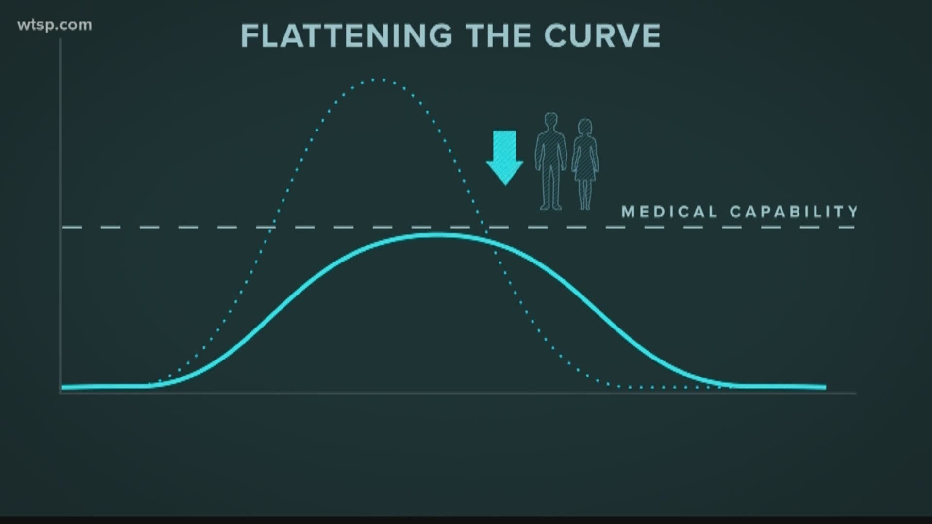 The epidemic curve is the term epidemiologists use to describe the lifespan of a disease outbreak.