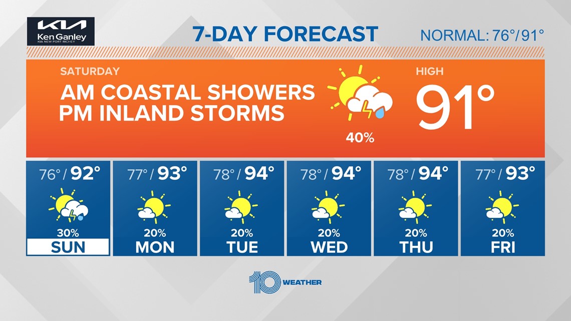 Beached whales released last week 'headed quickly' to reunite pod