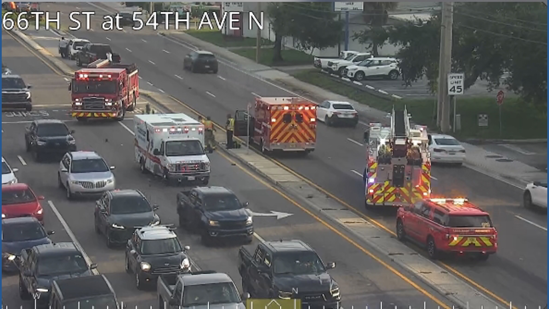 Pinellas Park man dies after being struck by car in Lealman | wtsp.com