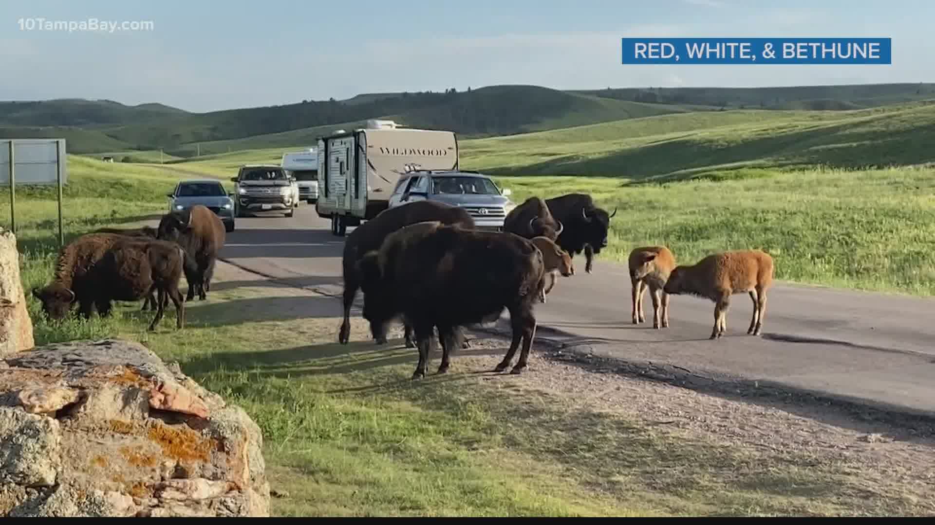 Jenn and Kyle Bethune live with their family in an RV. They share how their journey across the country has been.