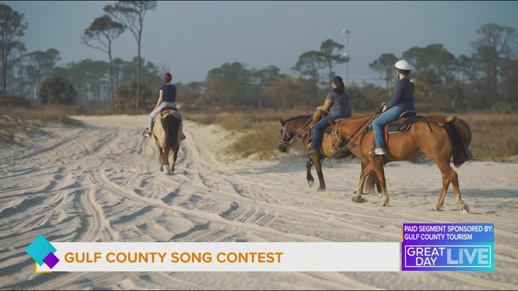 Gulf county wants you singing their praises