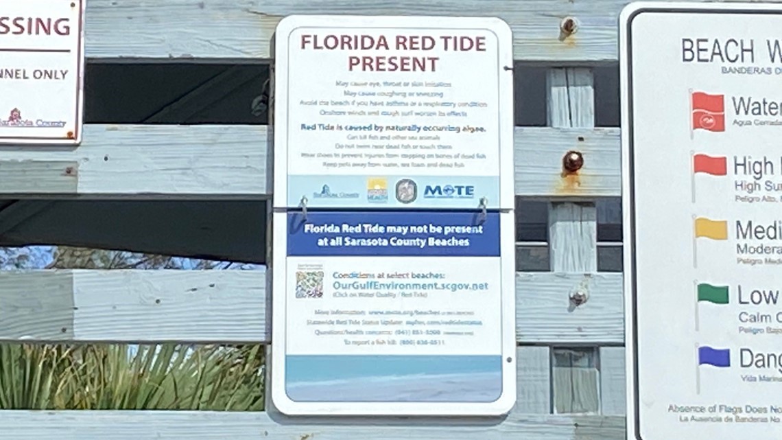 Red Tide Detected At Sarasota Area Beaches Following Hurricane Wtsp Com