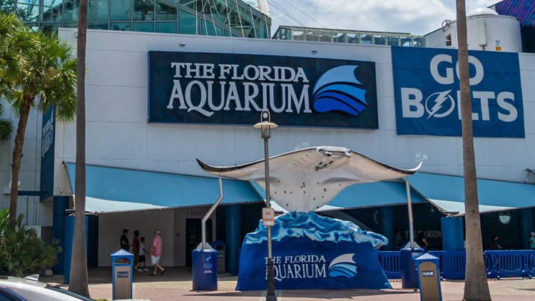 Florida Aquarium to become new home of the Rays - Tampa News Force