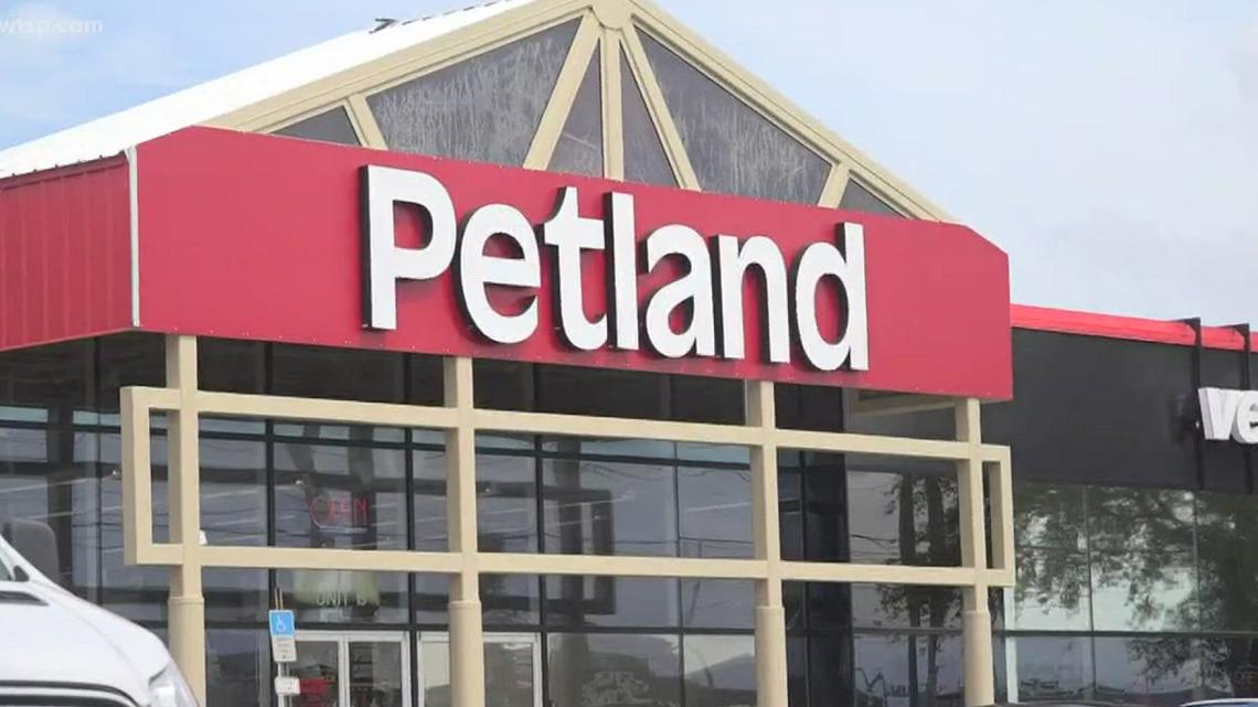 Tampa Bay area county reverses ban on retail sale of dogs, cats - Vimarsana News