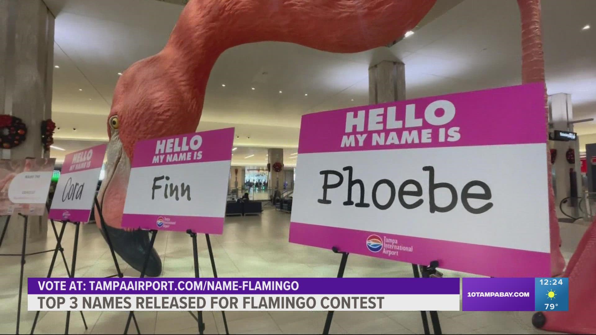 Tampa International Airport's famous pink flamingo will finally get a name and it depends on you.