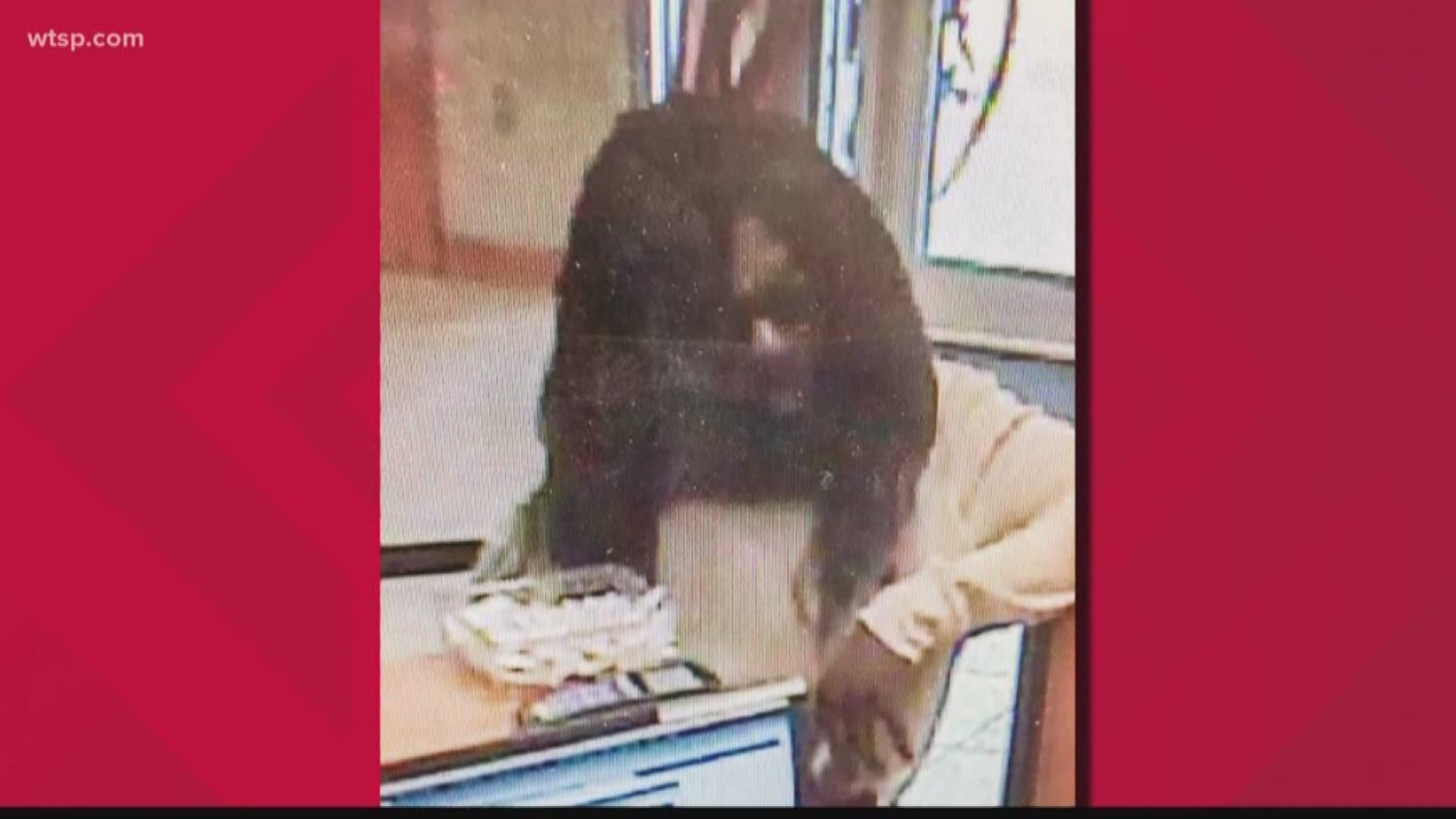 The search is on for a man accused of robbing a credit union in north Clearwater.