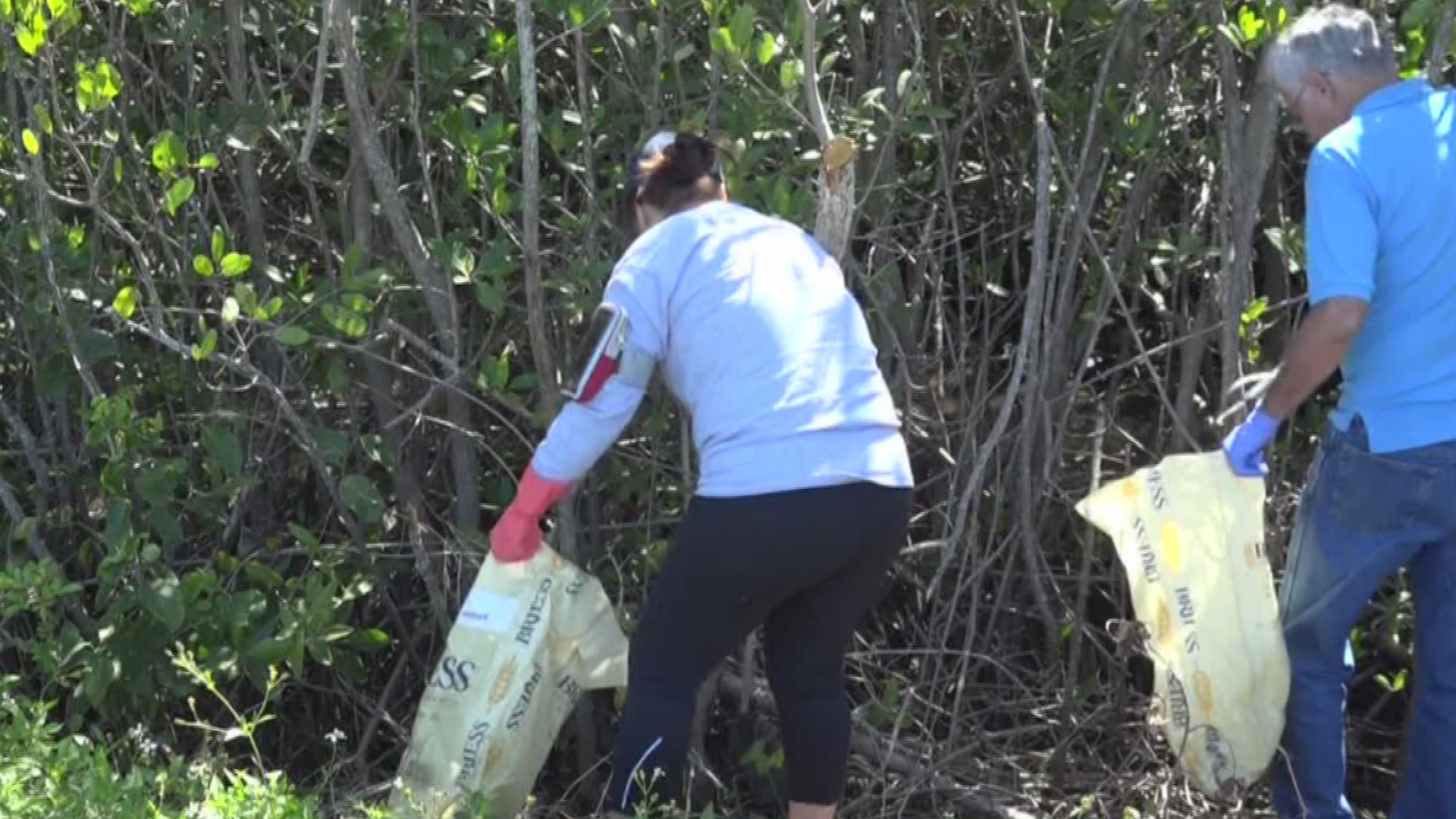 Treasure Island residents helped the Earth by clearing up the shoreline.