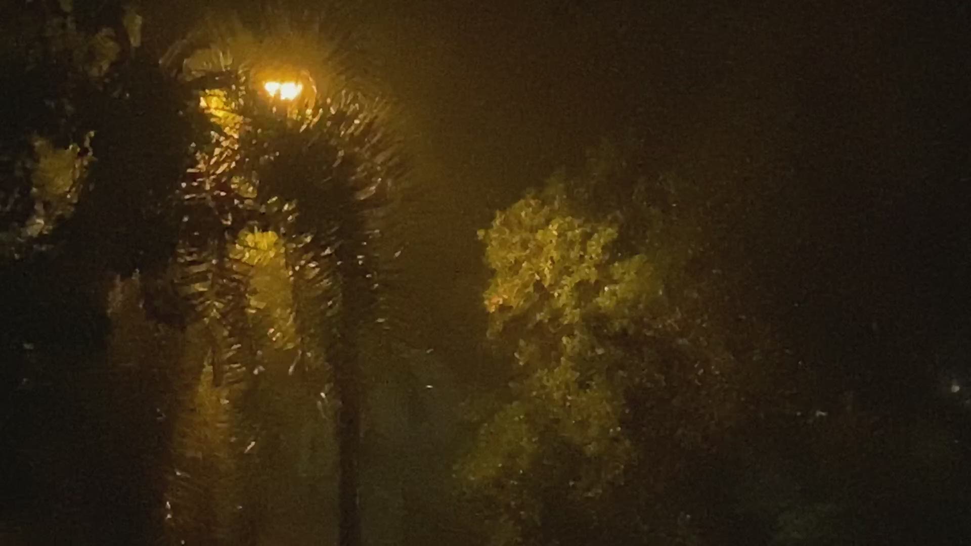 Strong storms moved through the Tampa Bay area on Friday, April 24, 2020.