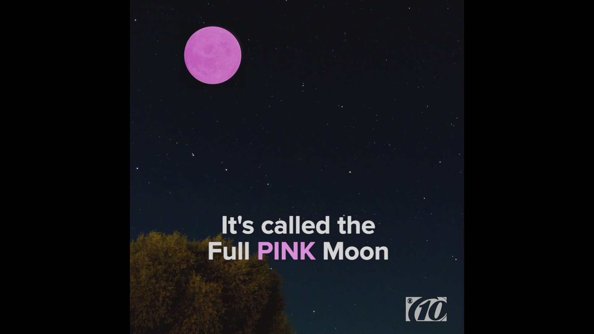 It won’t be pink in color, but it is the full pink moon tonight and it will be the biggest and brightest moon of the year.