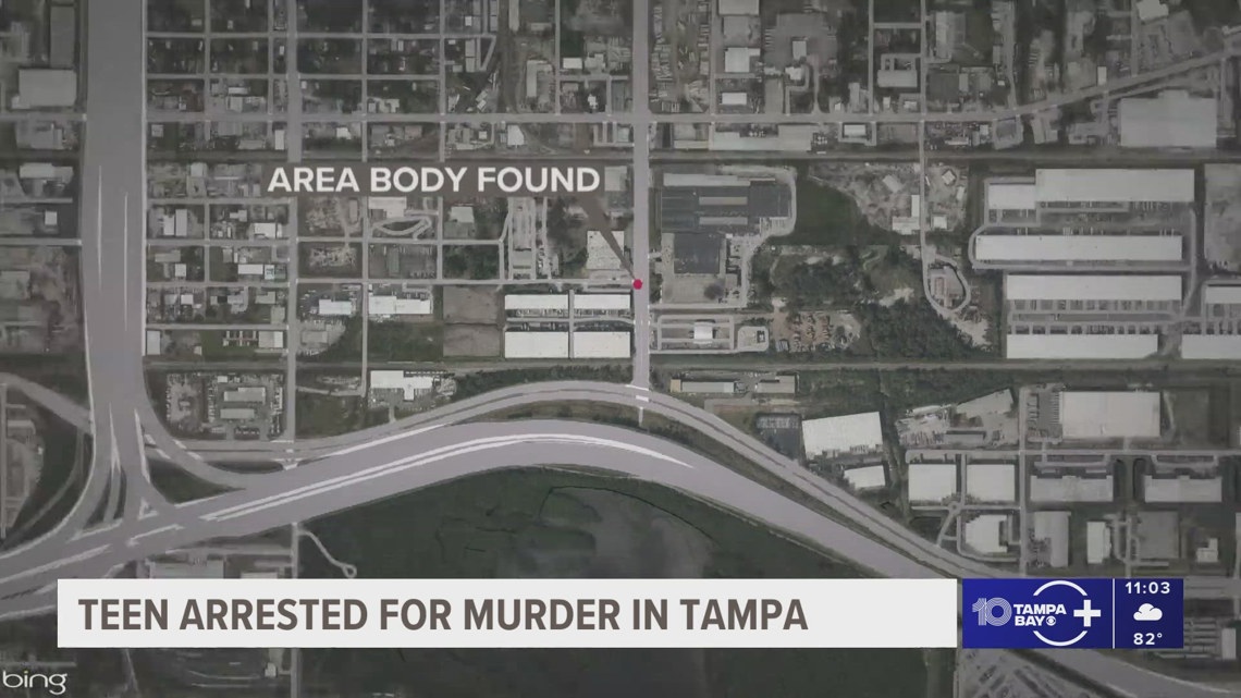 17-year-old charged with murder after body found in vacant Tampa lot ...