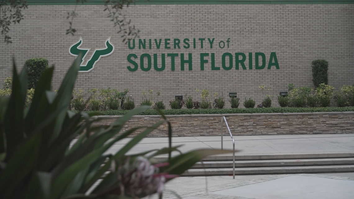USF makes plans to launch new off-campus housing program after recent student attacks