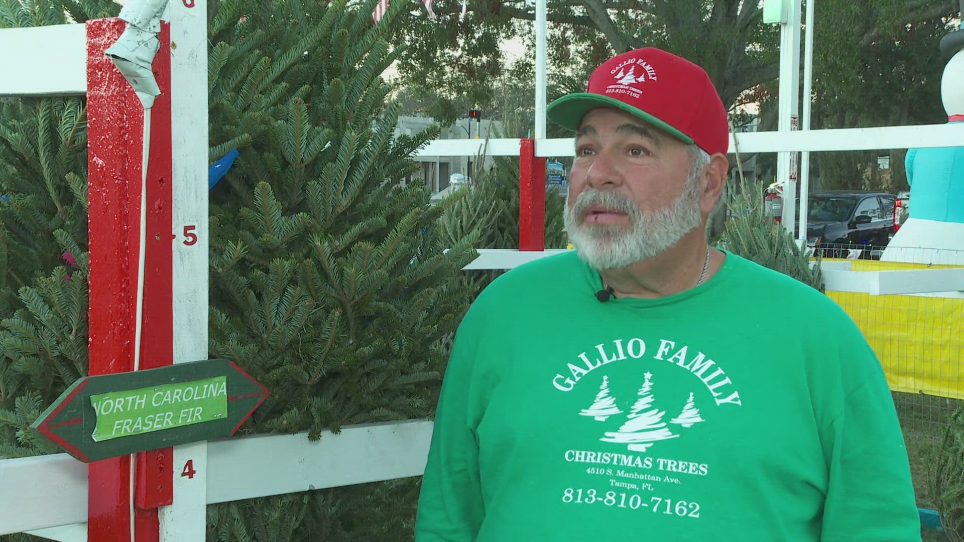 Some trees being sold in the Tampa Bay region survived destruction from Hurricane Helene in North Carolina.