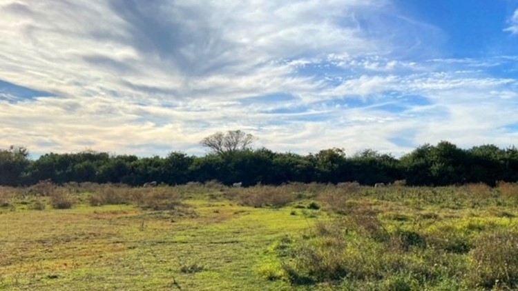 48 acres of land protected near Celery Fields in Sarasota County