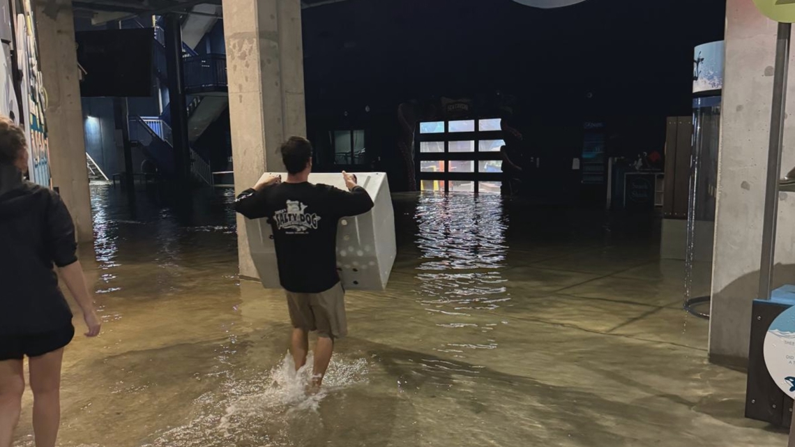 Clearwater Marine Aquarium seeks after suffering 2.5M in damages